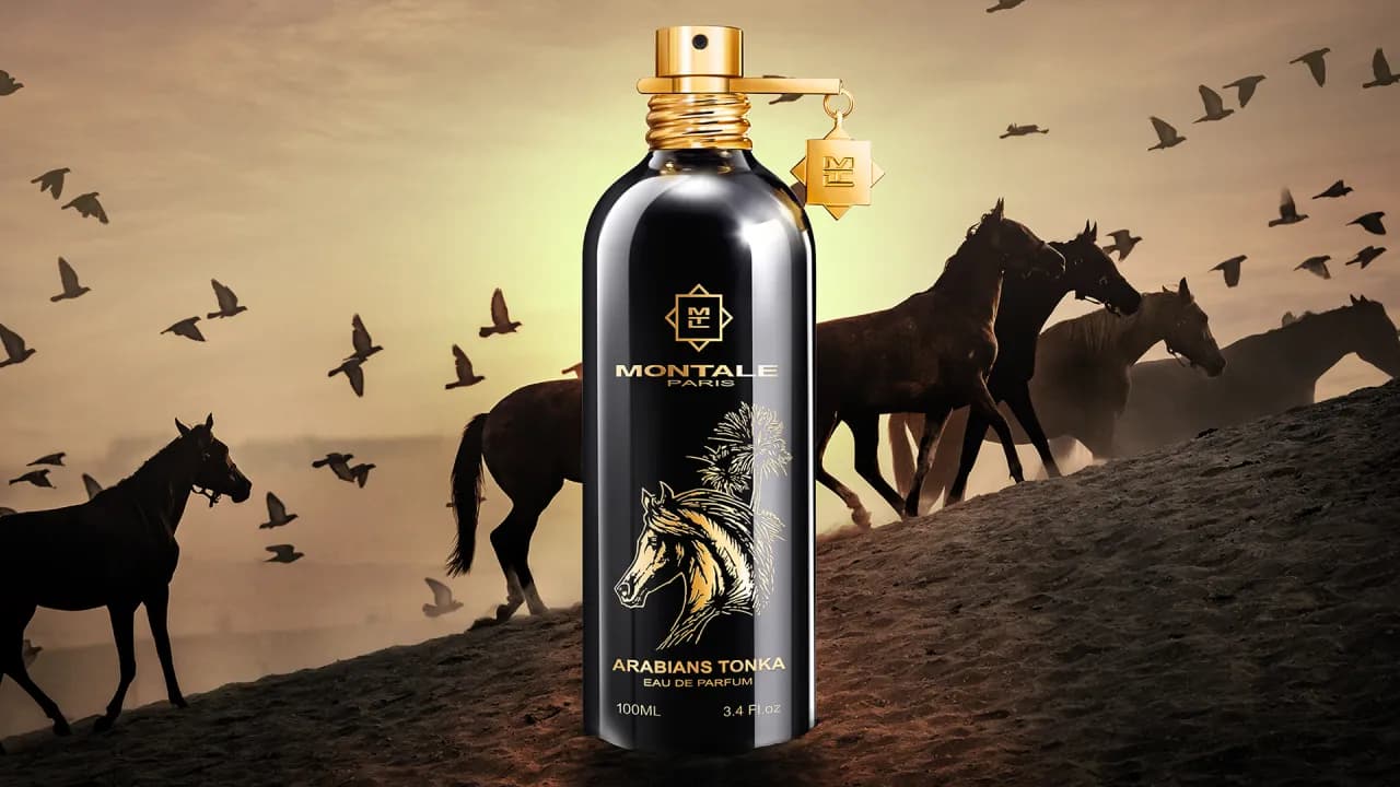 Montale Parfum wo kaufen: Die besten Shops und Angebote für Sie