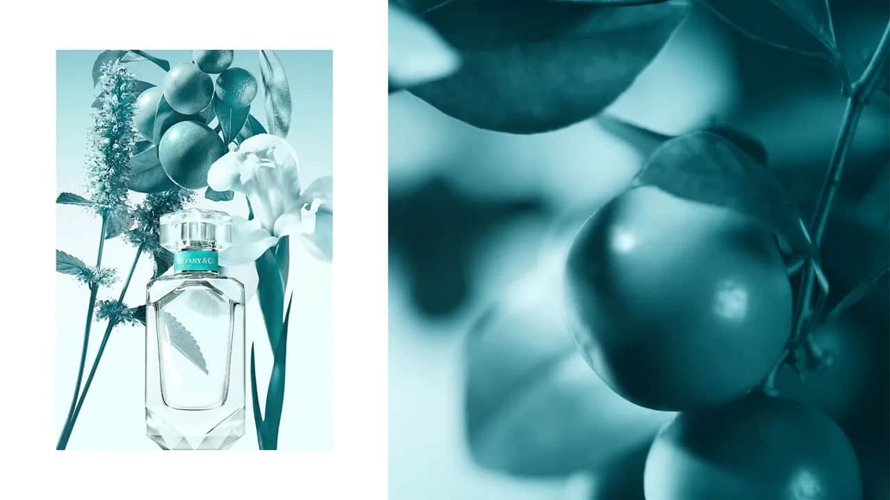 Tiffany und Co Parfum bei Müller: Finde deinen perfekten Duft